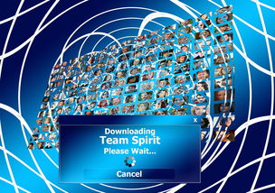 球迷盛典：现场氛围与体育精神的融合，球迷知识